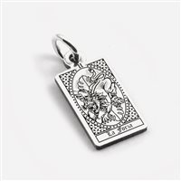 Charm Nove25 in Silber N25PEN00591